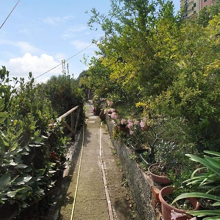Villa Lardarina Corniglia Exteriér fotografie