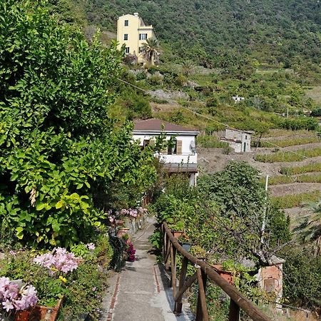 Villa Lardarina Corniglia Exteriér fotografie