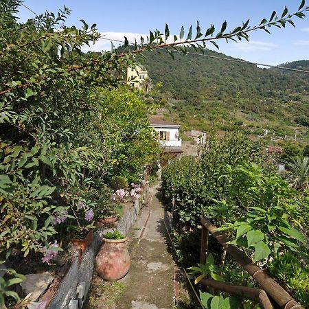 Villa Lardarina Corniglia Exteriér fotografie