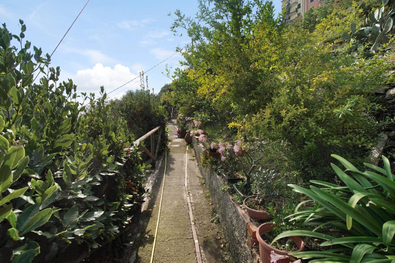 Villa Lardarina Corniglia Exteriér fotografie