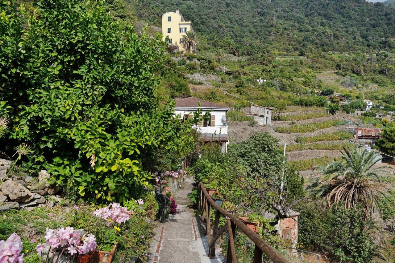 Villa Lardarina Corniglia Exteriér fotografie